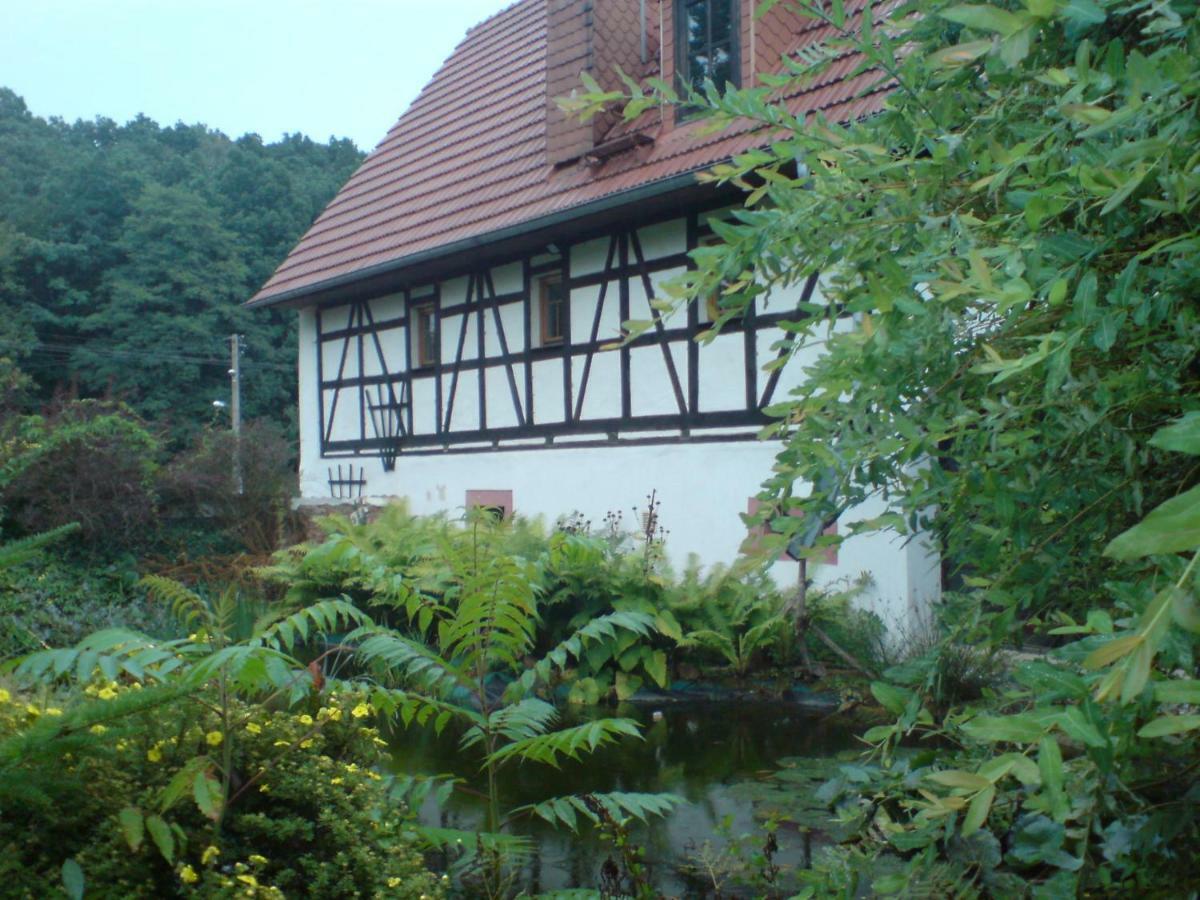 Restaurant & Pension "Bauernhof Zum Silberbergwerk" Limabach - Oberfrohna Extérieur photo
